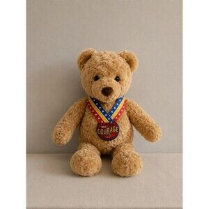 GUND Wish Bear Courage Teddy Bear Plush Toy 2003 Rare Collectible